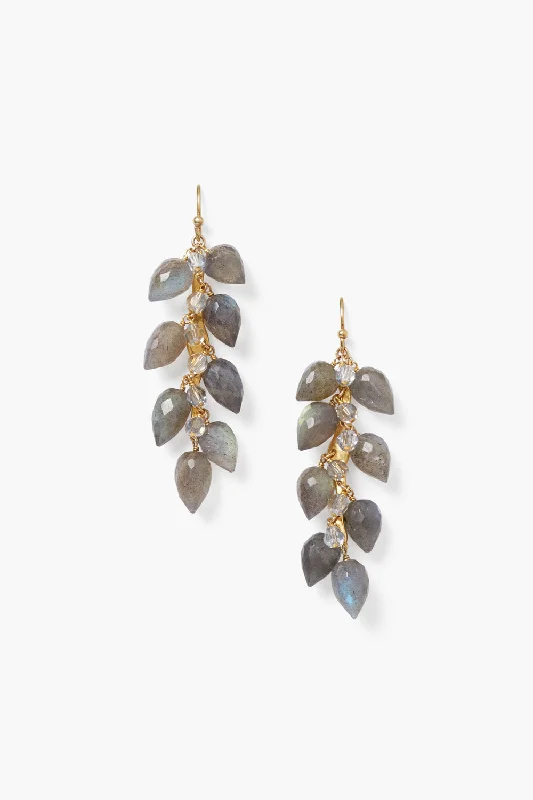 Retro Drop Earrings for Old-School-Delphine Drop Earrings Labradorite